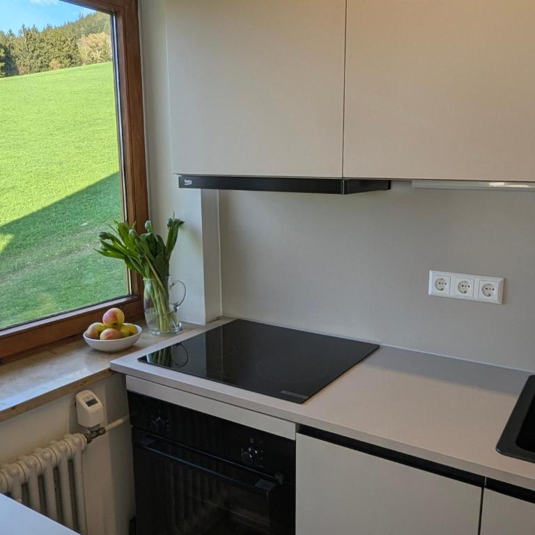 Ferienwohnung Bergzauber im Ferienpark Oberallgäu- Pool- Sauna- Bikepark- Skilift- Loipe- Wanderwege- stilvoll und kinderfreundlich - Apartment mit 1 Schlafzimmer - 2