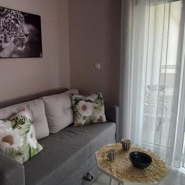Luka Apartment - One-Bedroom Apartment - 8