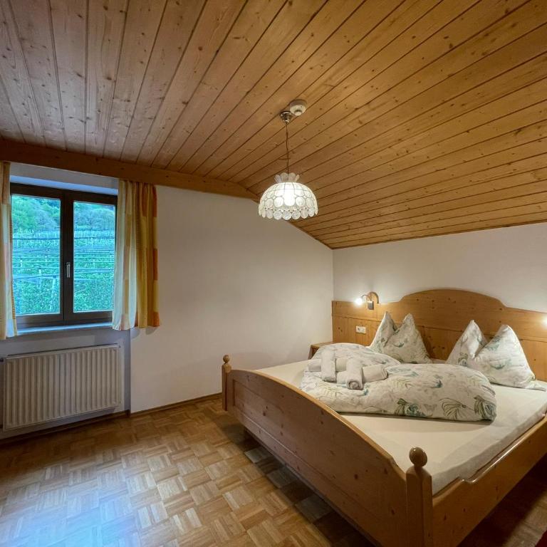 Residence Sonnenburger - Biobauernhof - Azienda agricola biologica - One-Bedroom Apartment with View - 6