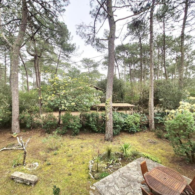 LACANAU Villa Landaise Longarisse - Villa with Garden View - 19