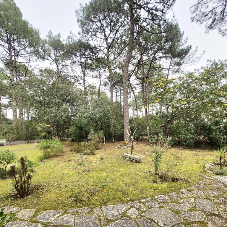 LACANAU Villa Landaise Longarisse - Villa with Garden View - 20