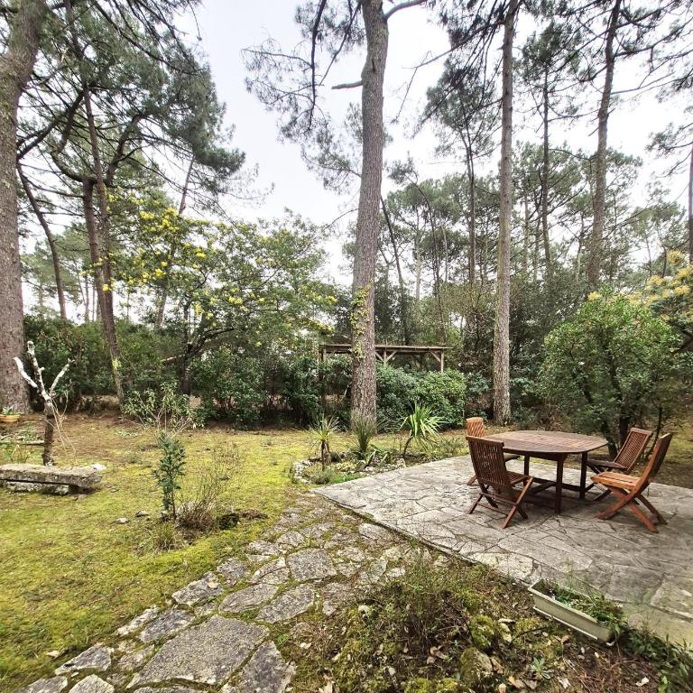 LACANAU Villa Landaise Longarisse - Villa with Garden View - 21