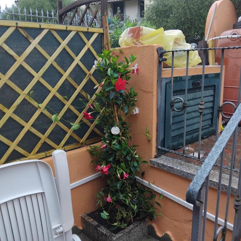 Casa Ady - Appartamento con 2 Camere da Letto - 4