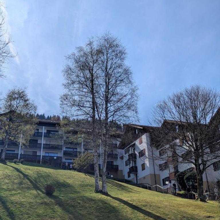 Ferienwohnung Bergzauber im Ferienpark Oberallgäu- Pool- Sauna- Bikepark- Skilift- Loipe- Wanderwege- stilvoll und kinderfreundlich - Apartment mit 1 Schlafzimmer - 49