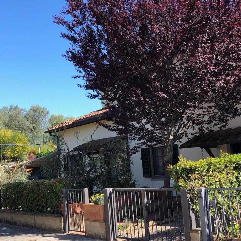 Casa Varna - Appartamento con 1 Camera da Letto - 78