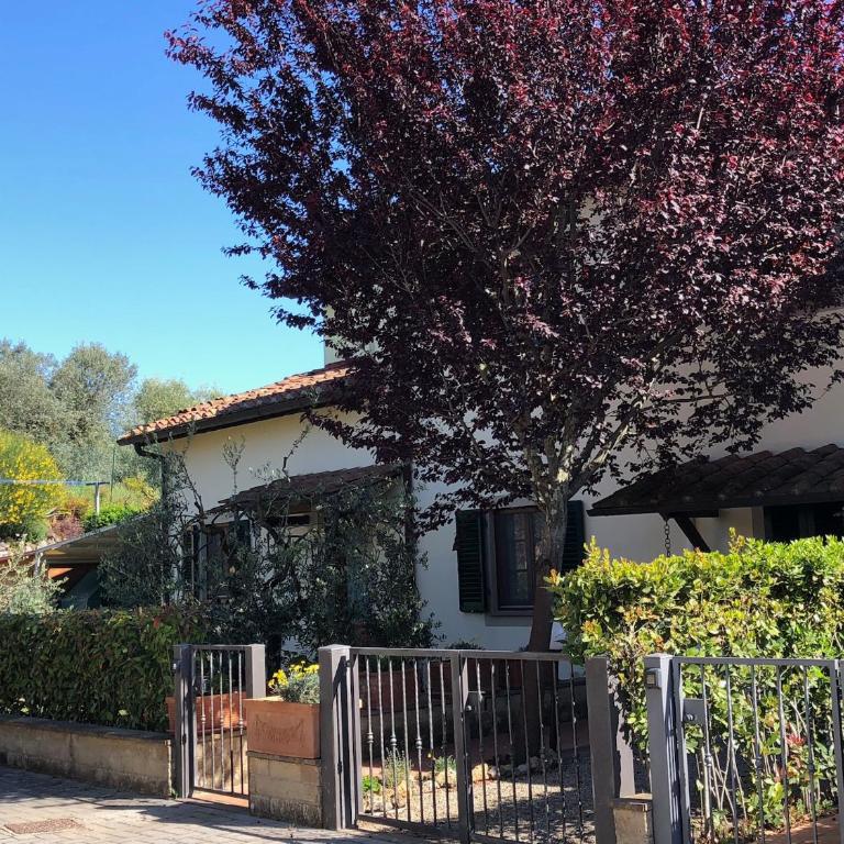 Casa Varna - Appartamento con 1 Camera da Letto - 70