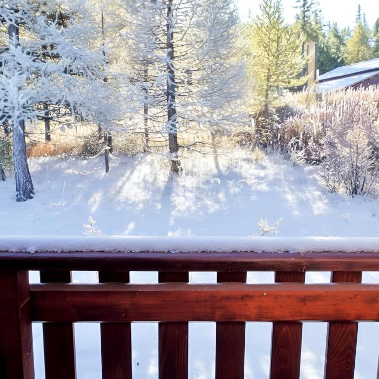 Casa-Forêt Blanche splendide chalet - Chalet - 14