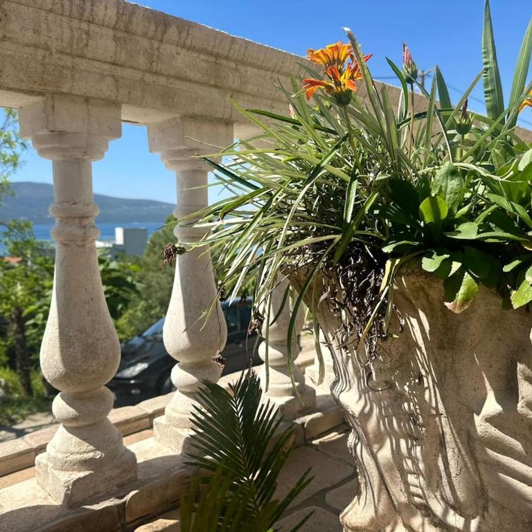 Vila Lastva, Apartment No 3 - Apartman sa 1 Spavaćom Sobom - 15