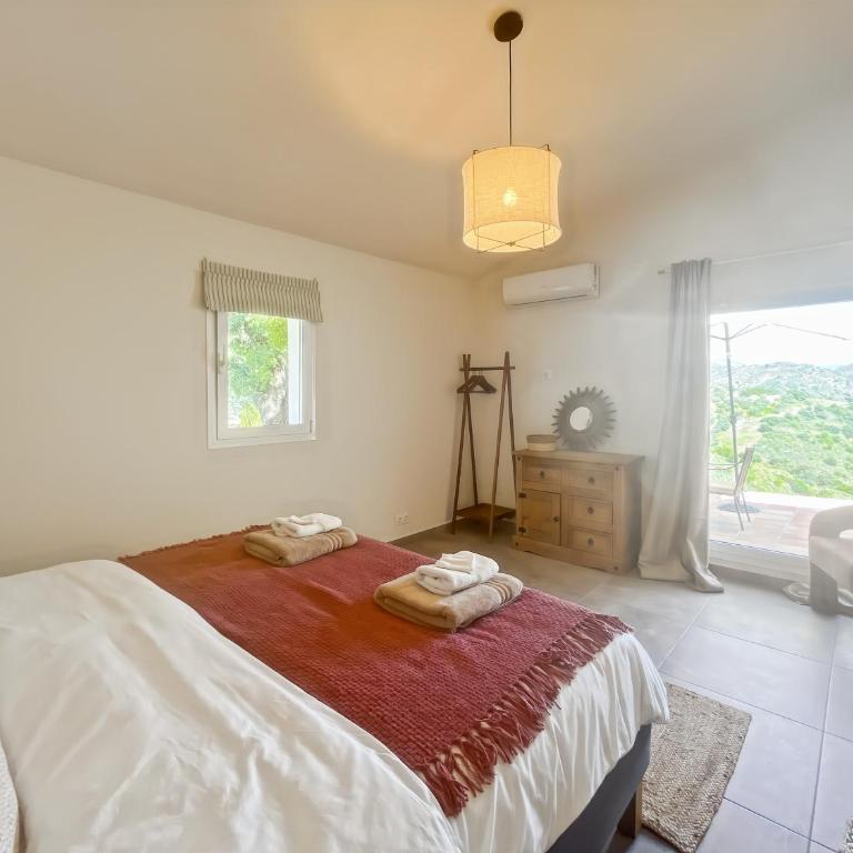 Hacienda Gallego - One-Bedroom House - 4