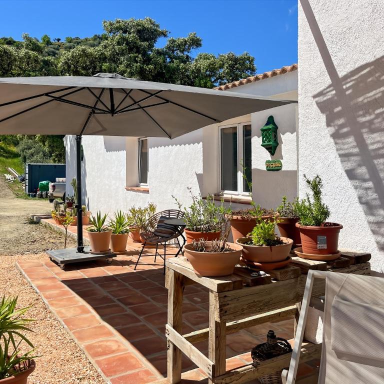 Hacienda Gallego - One-Bedroom House - 11
