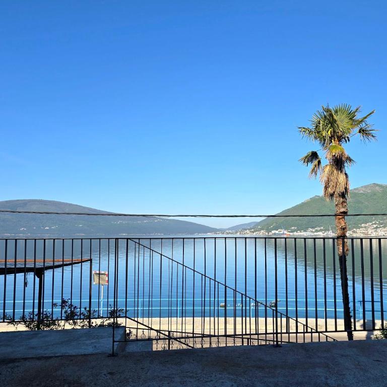 Apartmani Nikolić "Na pjeni od mora" - One-Bedroom Apartment with Sea View and Terrace - 1