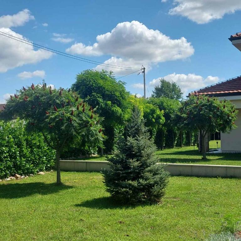 Vila Eleonora Beograd - Vila - 32