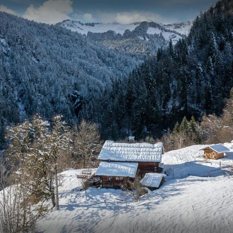 Chalet Ourson du Passieu - OVO Network - Chalet - 29
