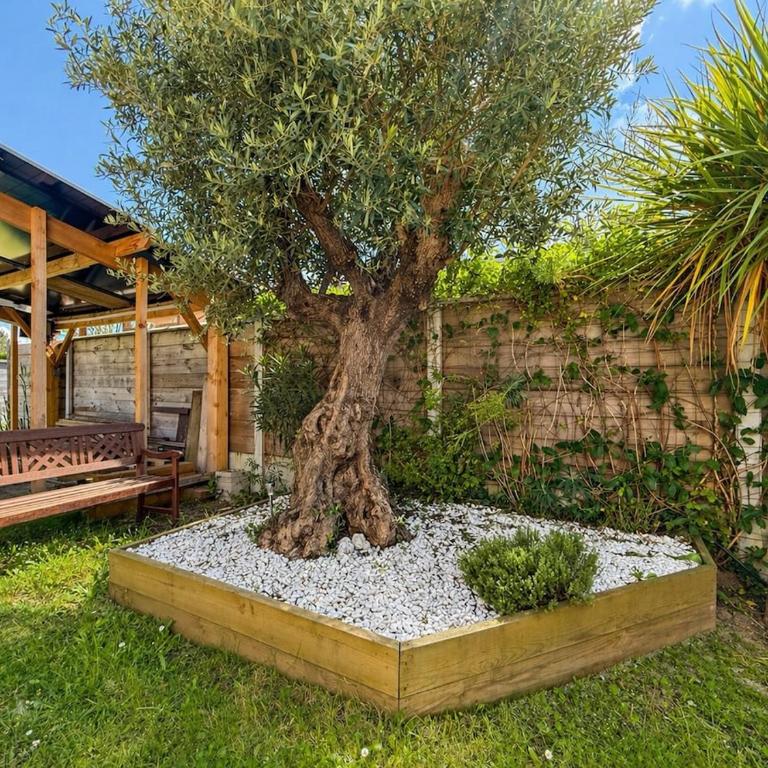 Villa Dune near beach - Maison 4 Chambres - 10