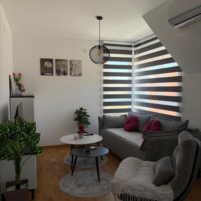 Jefimija Apartman Sokobanja - One-Bedroom Apartment - 3