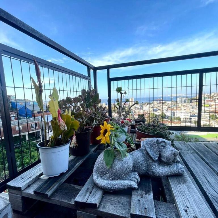 Casa en Cerro Monjas con hermosa vista al mar - Three-Bedroom Apartment - 13