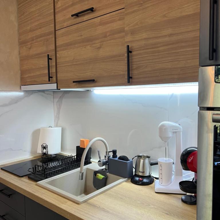 Skyline Apartment Zlatibor - Apartman sa 1 Spavaćom Sobom - 14