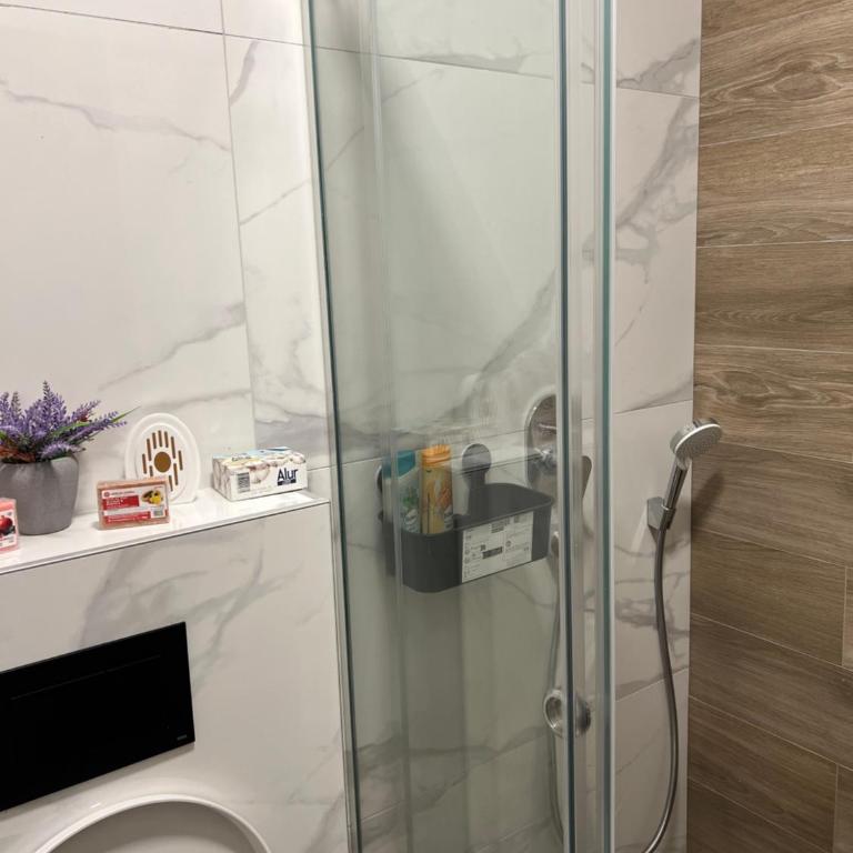 Skyline Apartment Zlatibor - Apartman sa 1 Spavaćom Sobom - 17