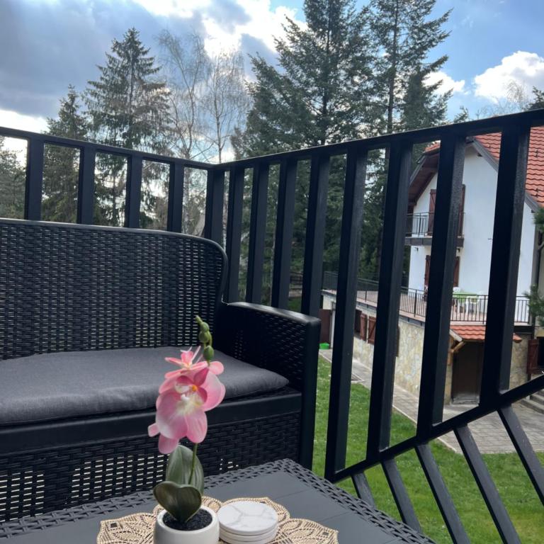Skyline Apartment Zlatibor - Apartman sa 1 Spavaćom Sobom - 28