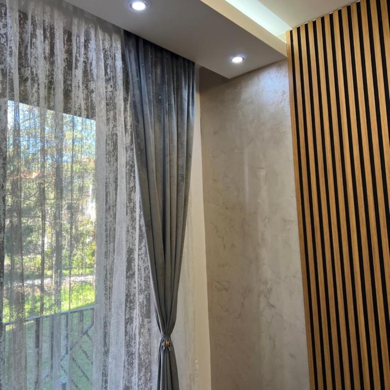 Skyline Apartment Zlatibor - Apartman sa 1 Spavaćom Sobom - 34