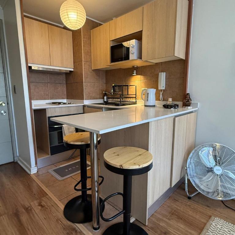 Cozy apartment in the middle of Santiago - One-Bedroom Apartment - 4
