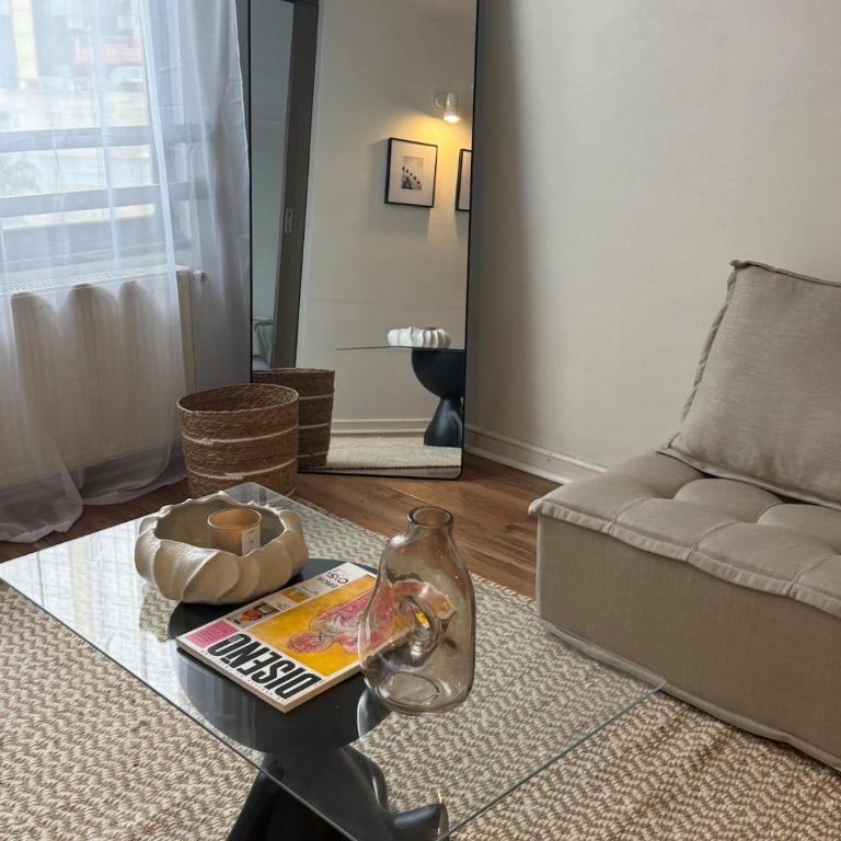 Cozy apartment in the middle of Santiago - One-Bedroom Apartment - 6