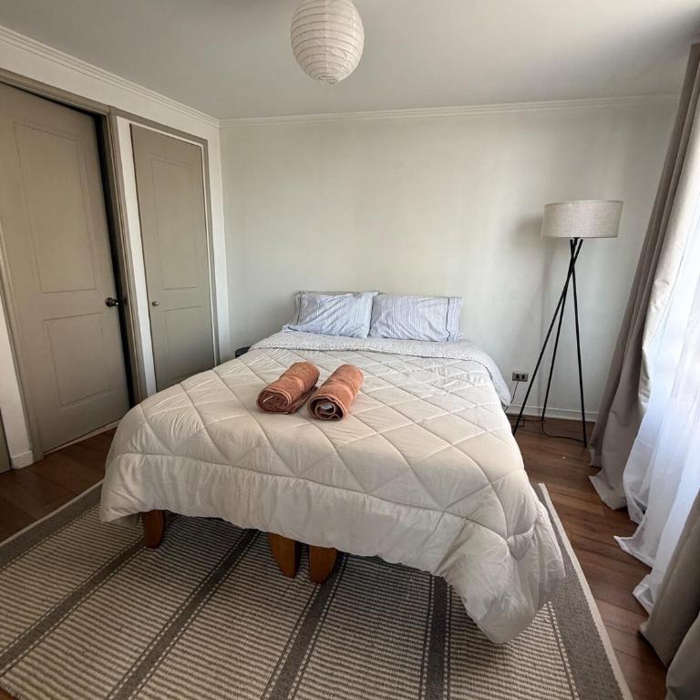 Cozy apartment in the middle of Santiago - One-Bedroom Apartment - 7