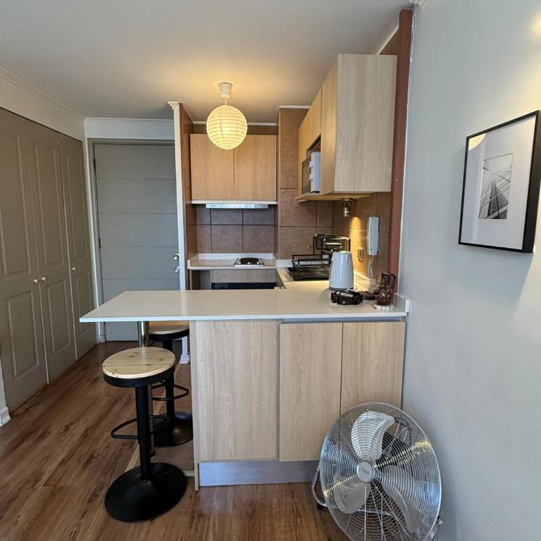 Cozy apartment in the middle of Santiago - One-Bedroom Apartment - 10
