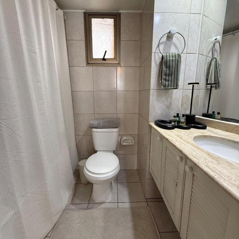 Cozy apartment in the middle of Santiago - One-Bedroom Apartment - 11