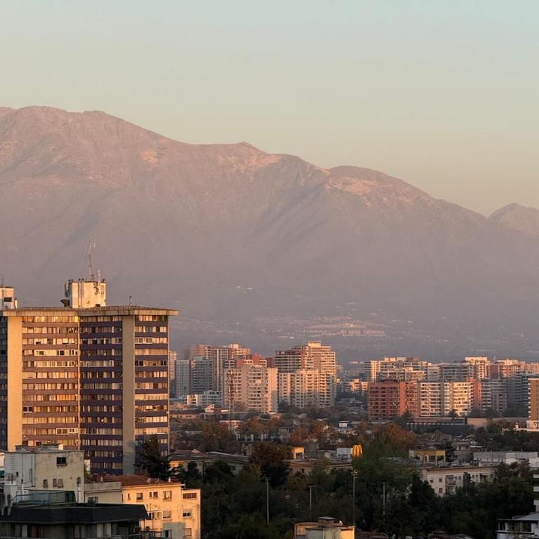 Cozy apartment in the middle of Santiago - One-Bedroom Apartment - 12