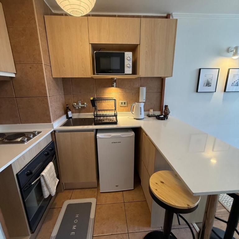 Cozy apartment in the middle of Santiago - One-Bedroom Apartment - 14