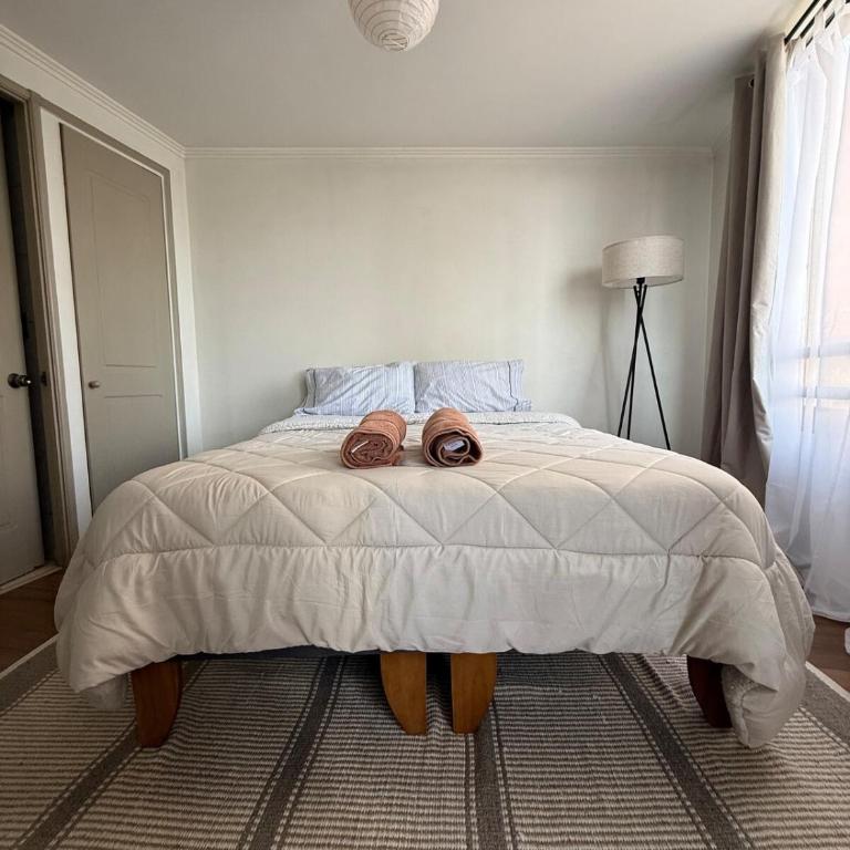 Cozy apartment in the middle of Santiago - One-Bedroom Apartment - 20