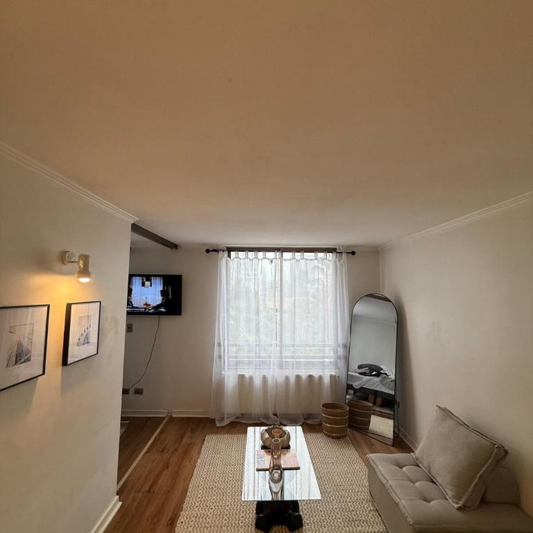 Cozy apartment in the middle of Santiago - One-Bedroom Apartment - 23