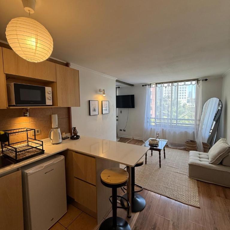 Cozy apartment in the middle of Santiago - One-Bedroom Apartment - 26