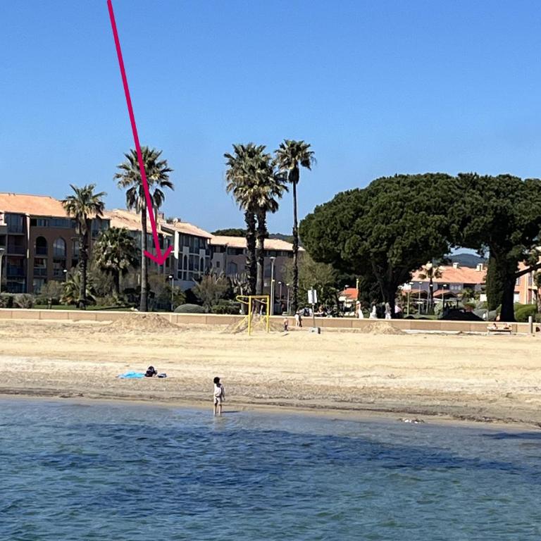 Studio de vacances 4 personnes avec vue mer et plage - Studio - Vue sur Mer - 1