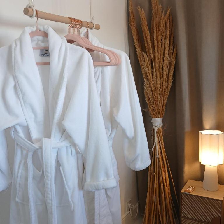 L'Instant suspendu SPA privatif face à la Mer - Appartement 1 Chambre - 11