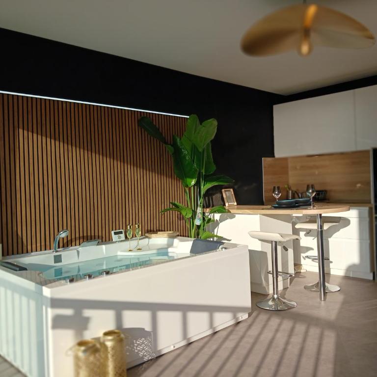L'Instant suspendu SPA privatif face à la Mer - Appartement 1 Chambre - 4