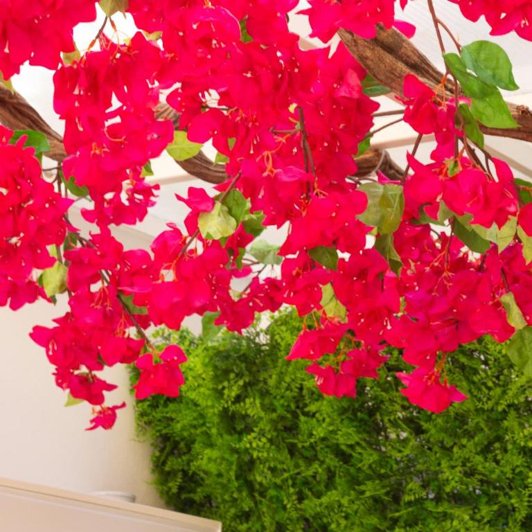 Vivaldo Suite Fuoro Leucosia - Boutique Apartment in the heart of Sorrento - One-Bedroom Apartment - 33