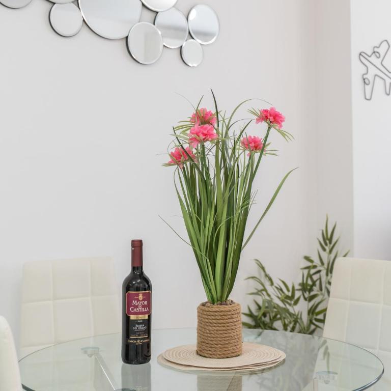 216 Apartment in the Town Centre - Apartamento Superior de 1 dormitorio - 17
