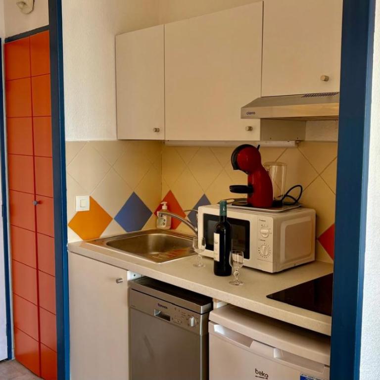 Palme d'Azur 527 classé 1 étoile - Apartamento de 1 dormitorio - 14