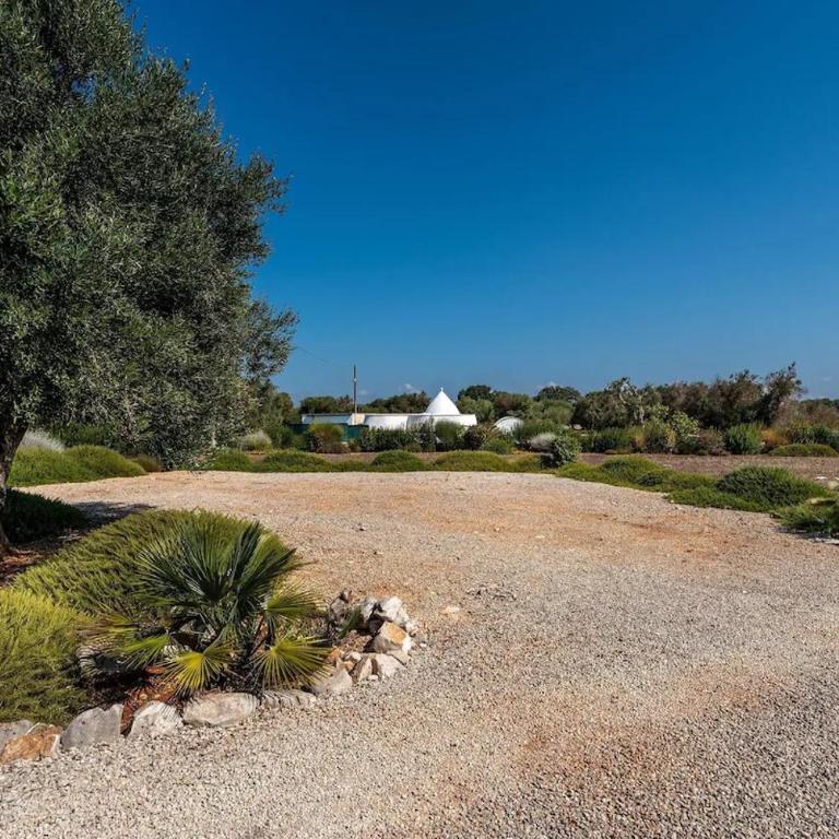 Casale SanGiusi White Stone Sanctuary Absolute Peace and Privacy - Appartamento con 2 Camere da Letto - 42