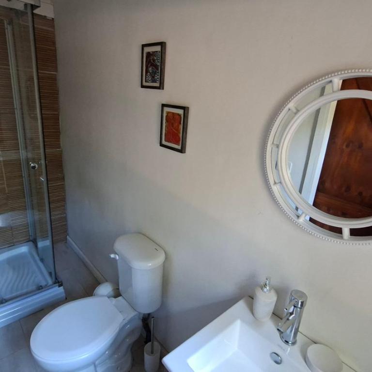 Riveras Rentals Bosque , cabañas & cabinas - Estudio Deluxe - 4