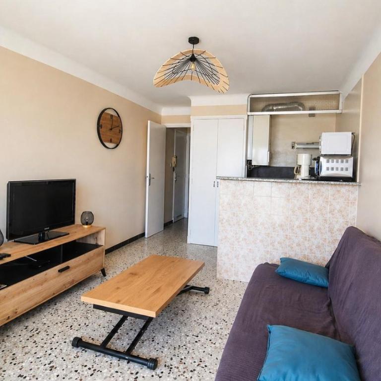 appartement 2 pieces avec parking et vue sur la marina - Apartment with Sea View - 4
