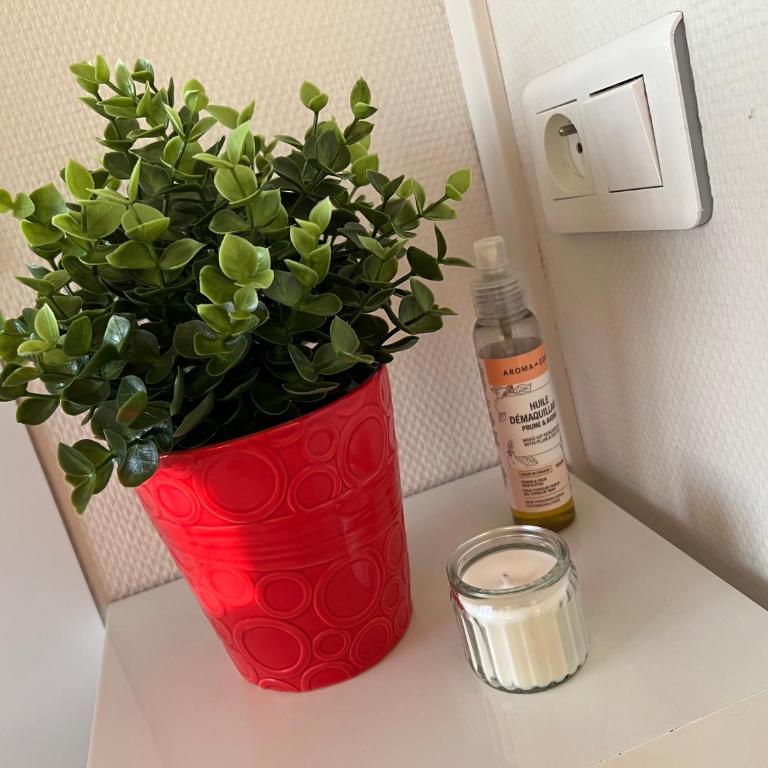 Le repère tranquille - F2 spacieux, proche gare - Apartment mit 1 Schlafzimmer - 9
