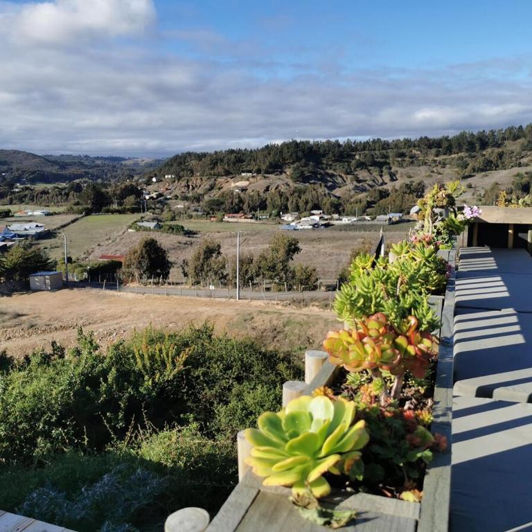 Pupuya Surf House - Three-Bedroom House - 59