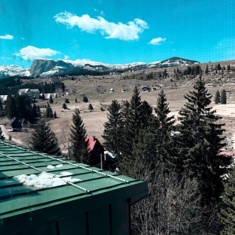 Scenic view - One-Bedroom House - 24