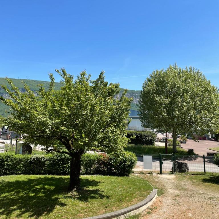 Au cœur de la Vallée Bleue - Appartement 1 Chambre - 1