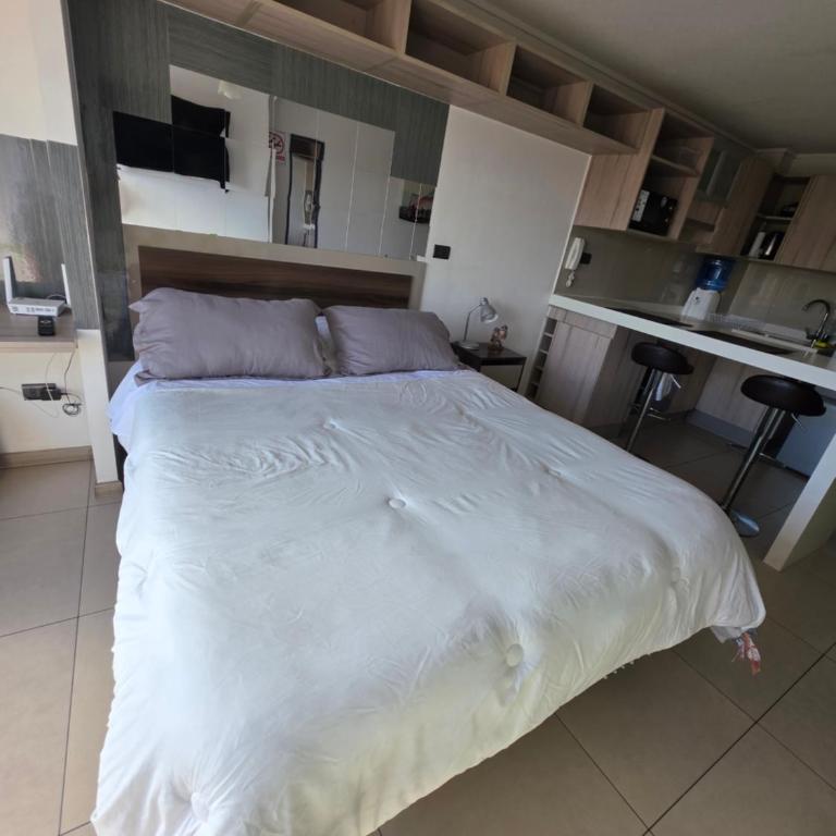 ÑuñoaEstadio apartament's - One-Bedroom Apartment - 17