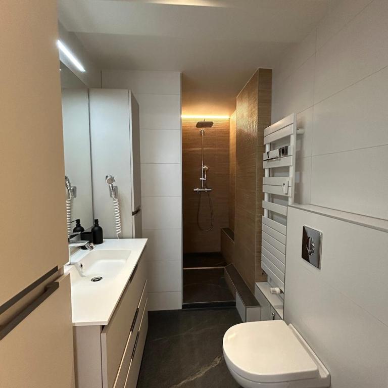Hyper centre clim 6 pers lumineux - Strasbnb - Apartamento de 2 dormitorios - 17