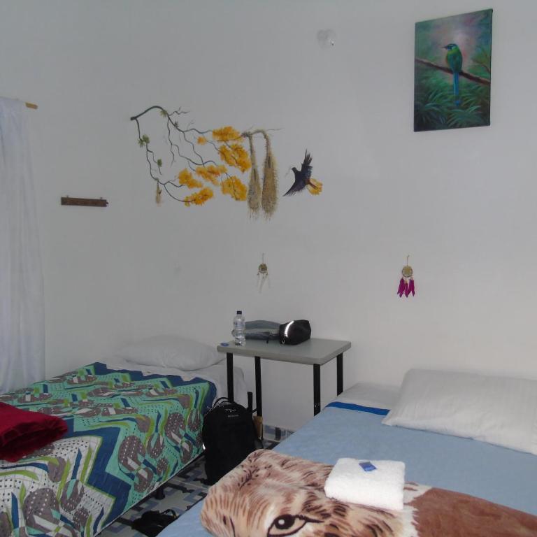 Vista Farallones Hostel - Bed in 4-Bed Female Dormitory Room - 9